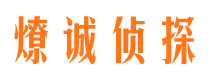 安新私家调查公司